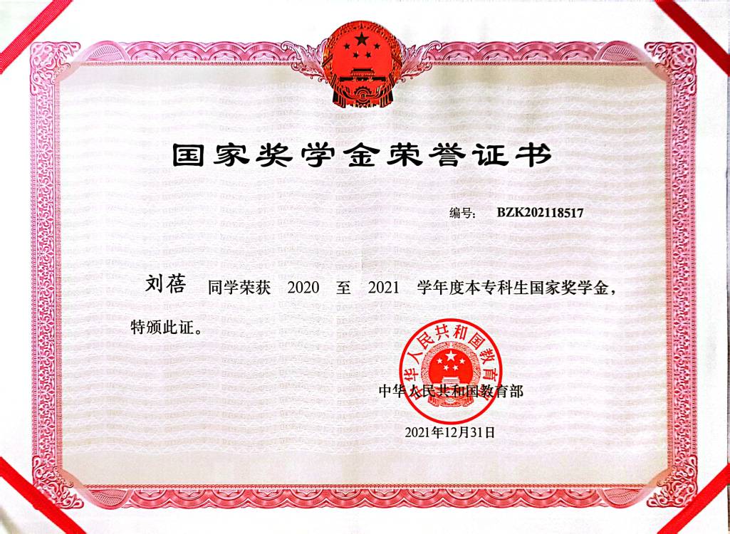 2020—2021 国家奖学金