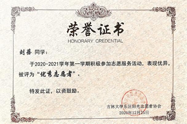 志愿服务证明 11