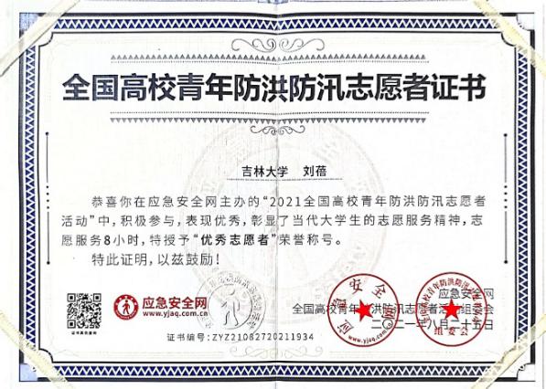 志愿服务证明 13