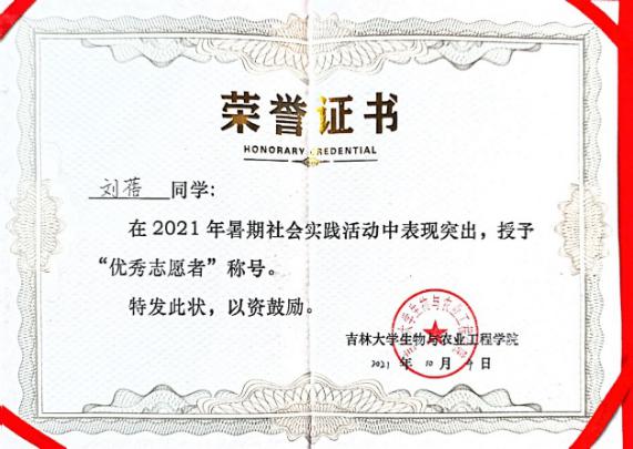 志愿服务证明 14